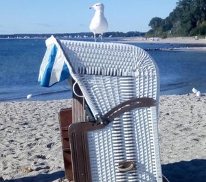 Ostseeparadies 
