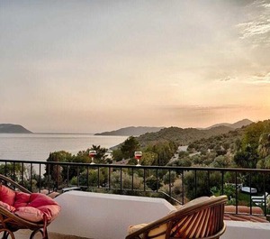 Paradise 