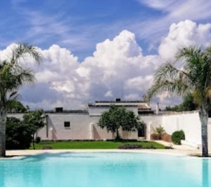 Bb Masseria The Sea Olive Trees 