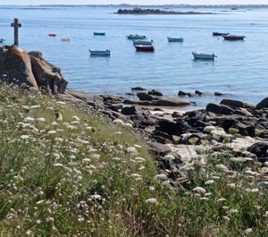 The Beach 