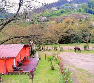 Quinta Fijo 