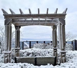 Seneca Snowshoe 