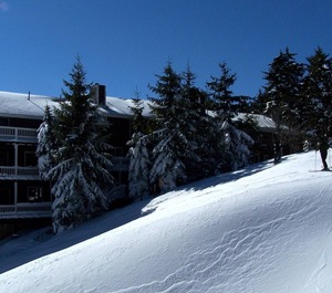 Stemwinder Snowshoe 