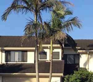 Strathmore Lodge Port Macquarie 