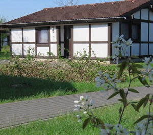 Holiday Scout Persons The Village Altes Land 