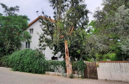Kusadasi Bed & Breakfast | Çam ağaçları altında, otantik, büyük bahçeli, denize yakın ve yine de merkezi