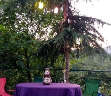 Akcaabat Villa | Ömer bey konak