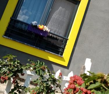 Akcaabat Villa | Ömer bey konak
