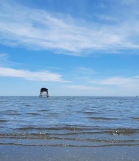 Can Gio Other | Út Ngọc Camping