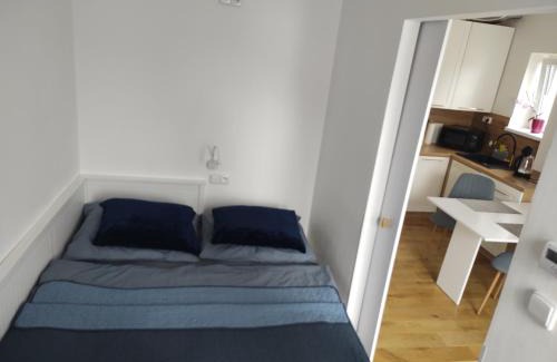 Nove Mesto nad Metuji Apartment | Útulný malý byt