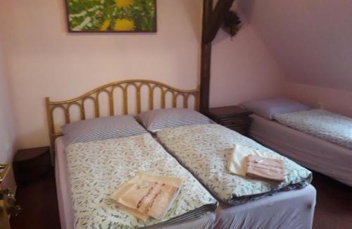 Horicky House | Čapkův statek