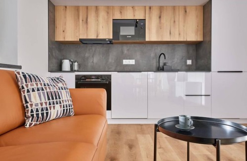 Cerny Dul Apartment | Černý Důl by Interhome