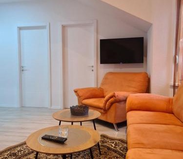 Canton 10 Apartment | Čičak