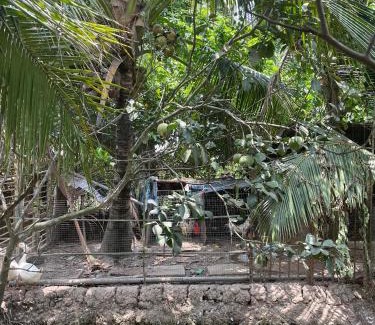 Phong Dien House | Đông's Garden Home
