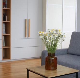 Siauliai City Center Apartment | Šiaulių centre modernus butas 1-4 žmonėms