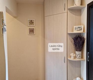 Kaunas Apartment | Šiaurė