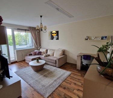 Kaunas Apartment | Šiaurė