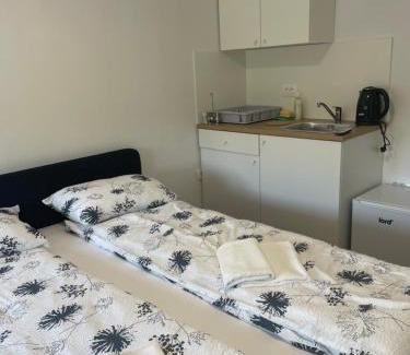 Postojna Apartment | Škorenjček Studio