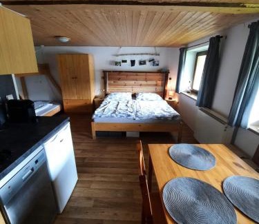 Zelezna Ruda Apartment | Špičák - U Barabů