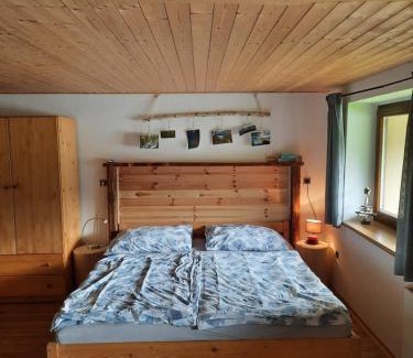 Zelezna Ruda Apartment | Špičák - U Barabů
