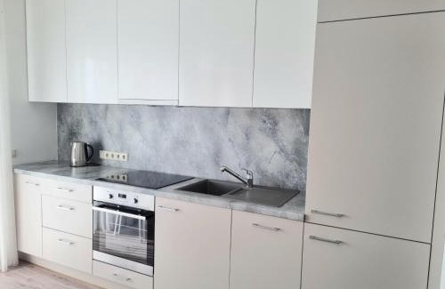 Palanga Apartment | Žiogų apartamentas