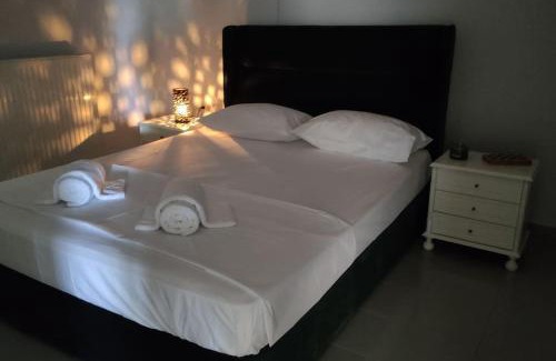Lagopodo Apartment | Ευρύχωρη και φωτεινή κατοικία στη Ζάκυνθο