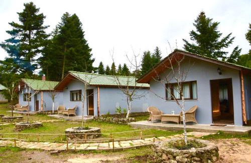 Kefalochori Ski Chalet | Νύμφες Σαλέ Αλκυόνη