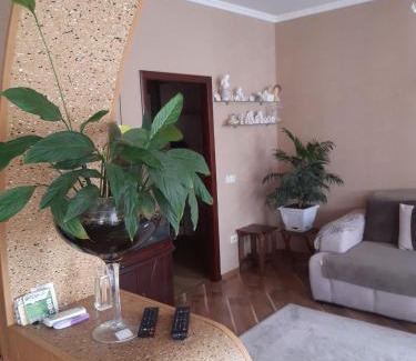 Kamenets-Podol'skiy Apartment | Апартаменти 'Комфорт'