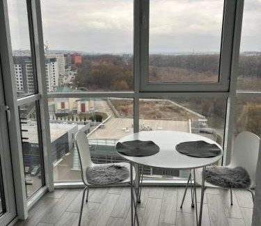 Maliyevtsy Apartment | Апартаменти Люкс 4