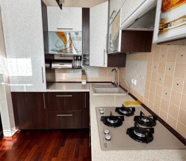 Kamenets-Podol'skiy Apartment | Апартаменти на Шевченка