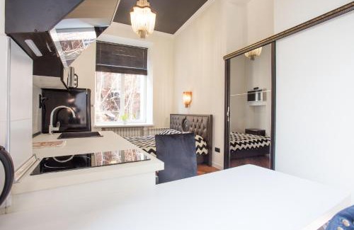 Petrovskoye Apartment | Апартаменти-студіо біля Оперного театру