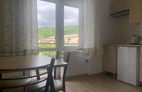 Rakhiv Apartment | Апартаменти Monte