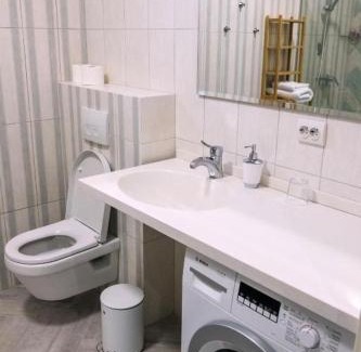 Uzhhorod Apartment | Апартаменты SILENA