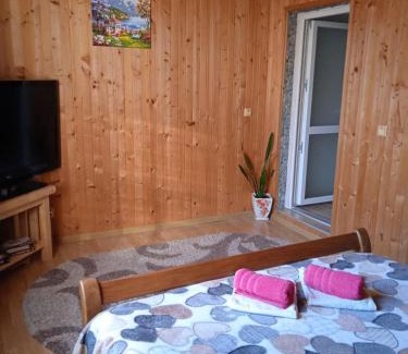 Yaremche Apartment | Карпатські ночі Чан на території