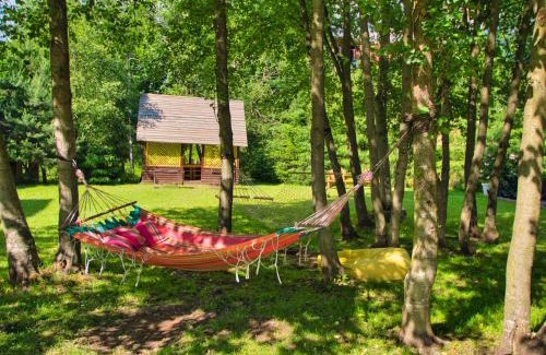 Bukovel Hotel | Новий