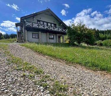 Palyanytsya Apartment | Перлина Гір
