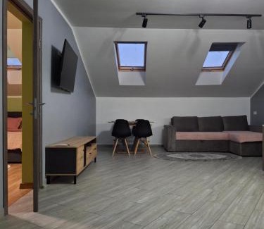 Lviv City Center Apartment | Простора сімейна оселя у серці міста Львів бічна ПЛОЩА РИНОК кухня-студія та спальня 2 кондиціонери