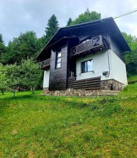 Podobovets Ski Chalet | Під Боржавою
