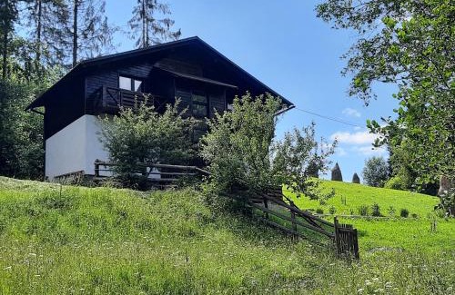 Podobovets Ski Chalet | Під Боржавою