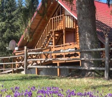 Palyanytsya Cabin | Садиба Урочище Луг