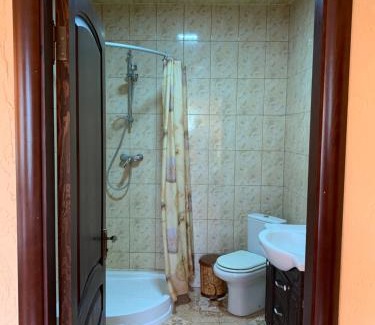 Nyzhnje Selyshche House | Садыба над Рикою