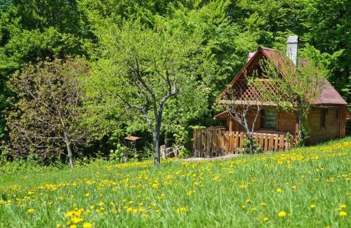 Rakhiv House | Трембіта