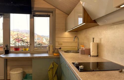 Slavske Apartment | Три-О Апартаменти з видом на гори, максимум для 4 гостей, 15 хв від центру