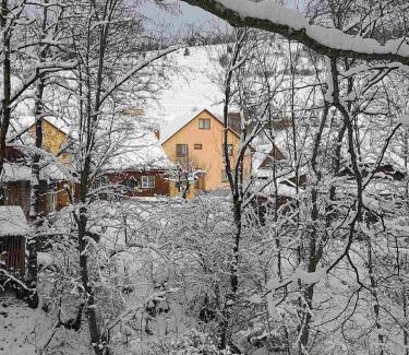 Podobovets House | У ДЯДЬКА