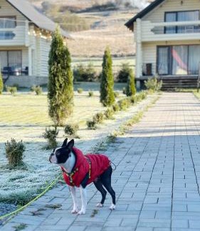 Izki House | Чотири сезони