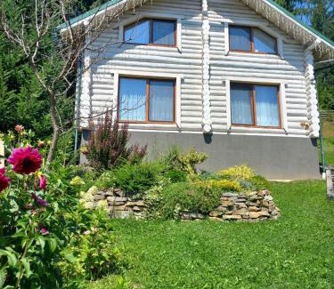 Yasinya Apartment | Шепіт лісу