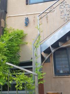 Neve Ilan Apartment | דרך עצי הזית - through the olive tree
