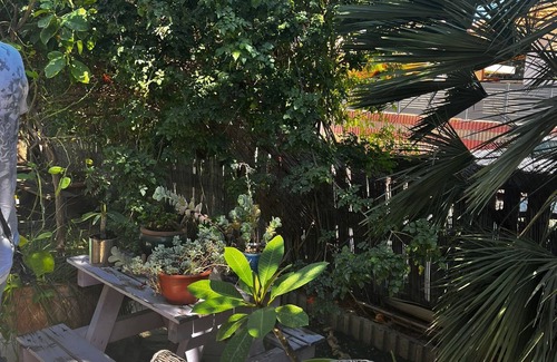 Bet Hananya House | וילה בכפר קרוב לים