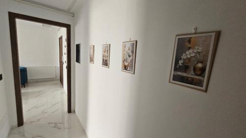 Ain Zaghouan Apartment | حي الواحات