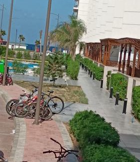 Al-Manasrah Apartment | شاليهات بورتوسعيد عائلات فقط